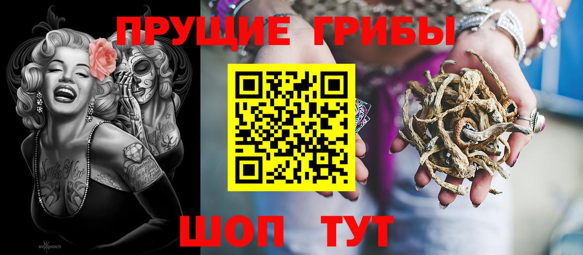 Кызыл  Псилоцибиновые грибы GOLDEN TEACHER  Вход с VPN 