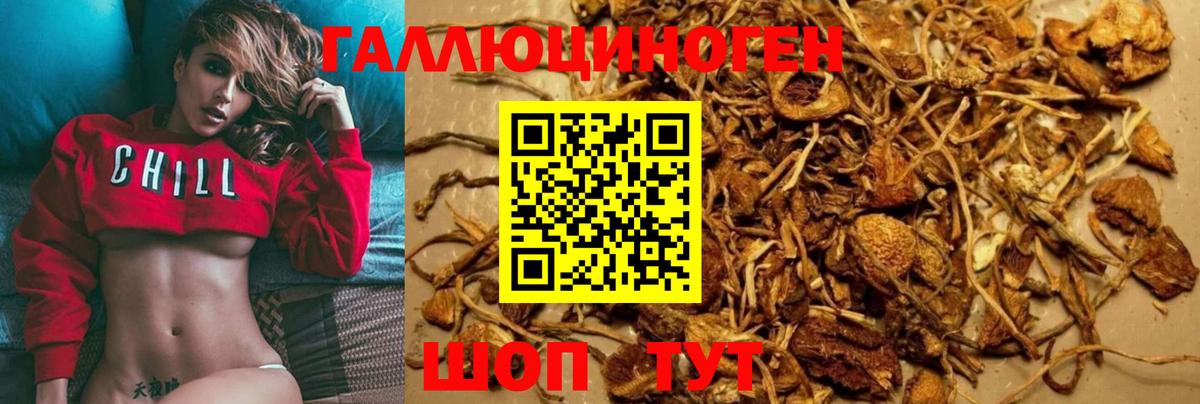 Галлюциногенные грибы GOLDEN TEACHER Кызыл