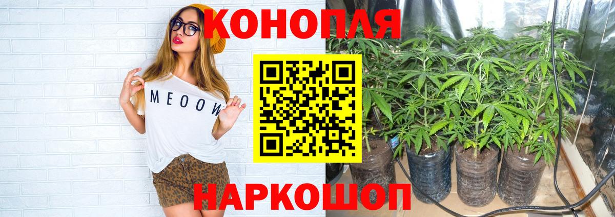 Бошки марихуана планчик Кызыл
